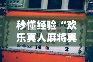 秒懂经验“欢乐真人麻将真能赚钱吗”原来有神器下载