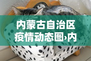 内蒙古自治区疫情动态图›内蒙古自治区的疫情通报