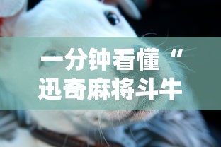 一分钟看懂“迅奇麻将斗牛挂安装	”事实上真的有挂