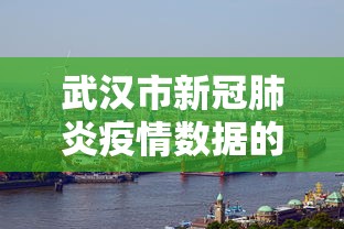 武汉市新冠肺炎疫情数据的简单介绍