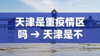 天津是重疫情区吗 → 天津是不是疫情风险区