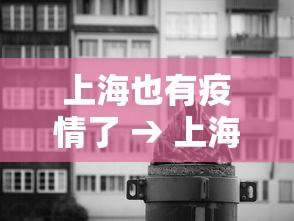 上海也有疫情了 → 上海有疫情出现吗 上海也有疫情了 → 上海有疫情出现吗