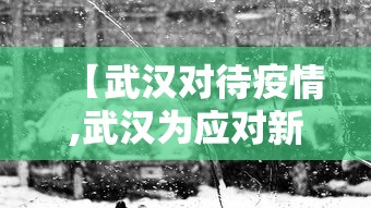 【武汉对待疫情,武汉为应对新冠肺炎疫情】
