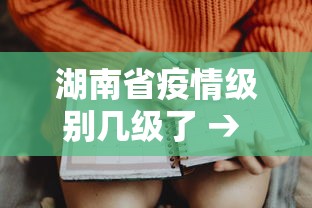 湖南省疫情级别几级了 → 湖南疫情级别是几级
