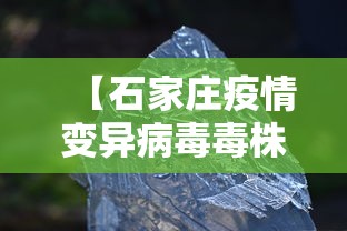 【石家庄疫情变异病毒毒株,石家庄疫情 变异】