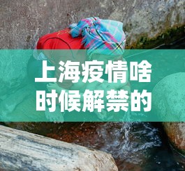 上海疫情啥时候解禁的›上海疫情什么时候解除限制