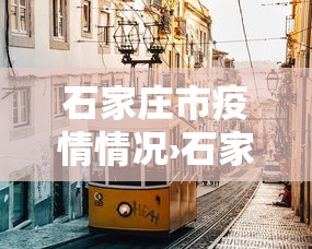 石家庄市疫情情况›石家庄市疫情状况