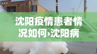 沈阳疫情患者情况如何›沈阳病情如何