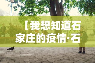 【我想知道石家庄的疫情·石家庄的的疫情】 【我想知道石家庄的疫情·石家庄的的疫情】