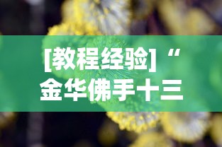 [教程经验]“金华佛手十三道辅助器”真的有挂