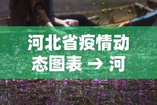 河北省疫情动态图表 → 河北省疫情动态图表图片