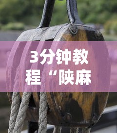 3分钟教程“陕麻圈捉老麻子开挂神器”真的有挂