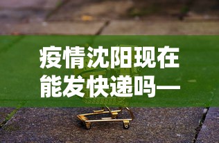 疫情沈阳现在能发快递吗—（沈阳现在快递可以发货吗）