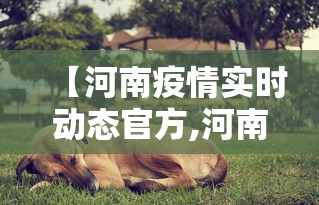 【河南疫情实时动态官方,河南疫情动态实时播报】 【河南疫情实时动态官方,河南疫情动态实时播报】