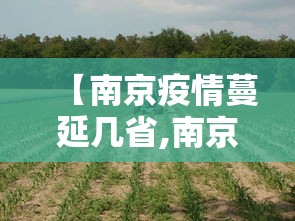 【南京疫情蔓延几省,南京疫情已蔓延那15省】