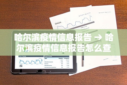 哈尔滨疫情信息报告 → 哈尔滨疫情信息报告怎么查