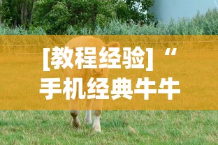 [教程经验]“手机经典牛牛有没有挂”实测确实有挂