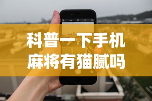 科普一下手机麻将有猫腻吗”开挂(透视)辅助教程