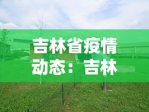 吉林省疫情动态：吉林省疫情动态图