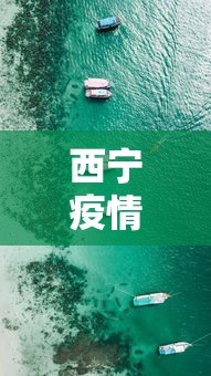 西宁疫情最新动态数据—（西宁疫情最新通报）