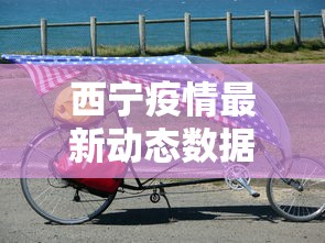 西宁疫情最新动态数据—(西宁疫情最新通报) 西宁疫情最新动态数据—(西宁疫情最新通报)