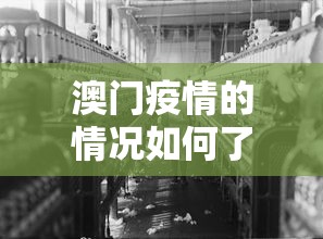 澳门疫情的情况如何了›澳门疫情扩散