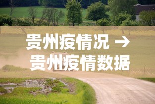 贵州疫情况 → 贵州疫情数据发布