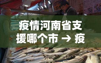 疫情河南省支援哪个市 → 疫情河南支援湖北哪个市 疫情河南省支援哪个市 → 疫情河南支援湖北哪个市