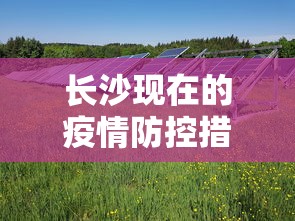 长沙现在的疫情防控措施：长沙最新防控要求