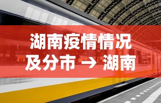 湖南疫情情况及分市 → 湖南疫情各市分布