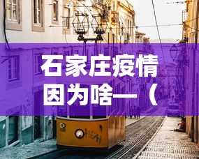 石家庄疫情因为啥—（石家庄因为什么疫情严重了）