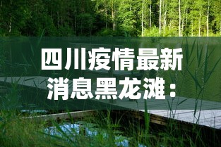 四川疫情最新消息黑龙滩：四川疫情最新消息黑龙滩新闻