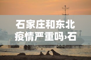 石家庄和东北疫情严重吗›石家庄疫情严重还是北京严重