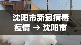 沈阳市新冠病毒疫情 → 沈阳市新冠病毒疫情防控电话