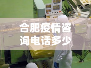 合肥疫情咨询电话多少号—（合肥疫情查询电话）