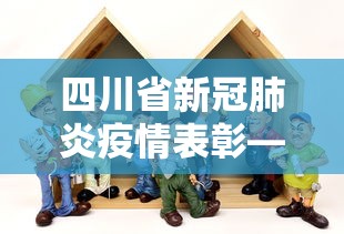 四川省新冠肺炎疫情表彰—（四川省表彰疫情防控工作）