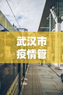 武汉市疫情管控区域›武汉防疫管控区