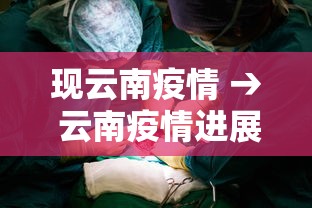 现云南疫情 → 云南疫情进展