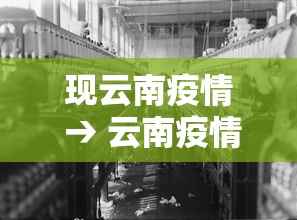现云南疫情 → 云南疫情进展