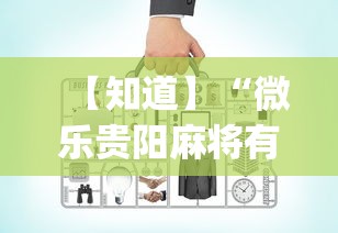 【知道】“微乐贵阳麻将有没有挂”(必备工具)辅助教学