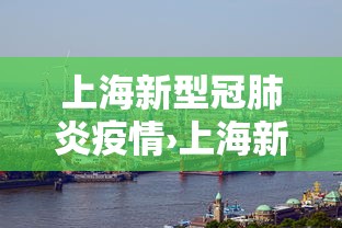 上海新型冠肺炎疫情›上海新冠疫情况