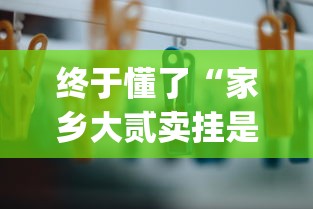 终于懂了“家乡大贰卖挂是真的吗”作弊挂(辅助外挂+