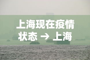 上海现在疫情状态 → 上海现在疫情状况