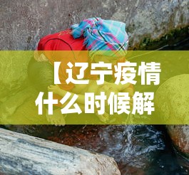 【辽宁疫情什么时候解禁的·辽宁什么时候解除封城】