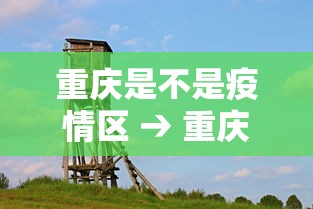 重庆是不是疫情区 → 重庆是疫区嘛