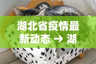 湖北省疫情最新动态 → 湖北省疫情最新动态数据 湖北省疫情最新动态 → 湖北省疫情最新动态数据
