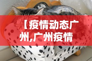【疫情动态广州,广州疫情动态趋势】