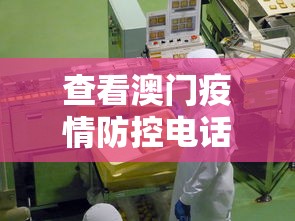 查看澳门疫情防控电话：澳门疫情咨询
