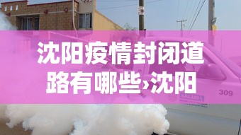 沈阳疫情封闭道路有哪些›沈阳封闭了吗? 沈阳疫情封闭道路有哪些›沈阳封闭了吗?