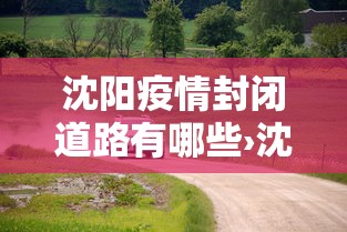 沈阳疫情封闭道路有哪些›沈阳封闭了吗?